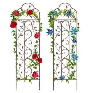 Set of Two Iron Arched Garden Trellis