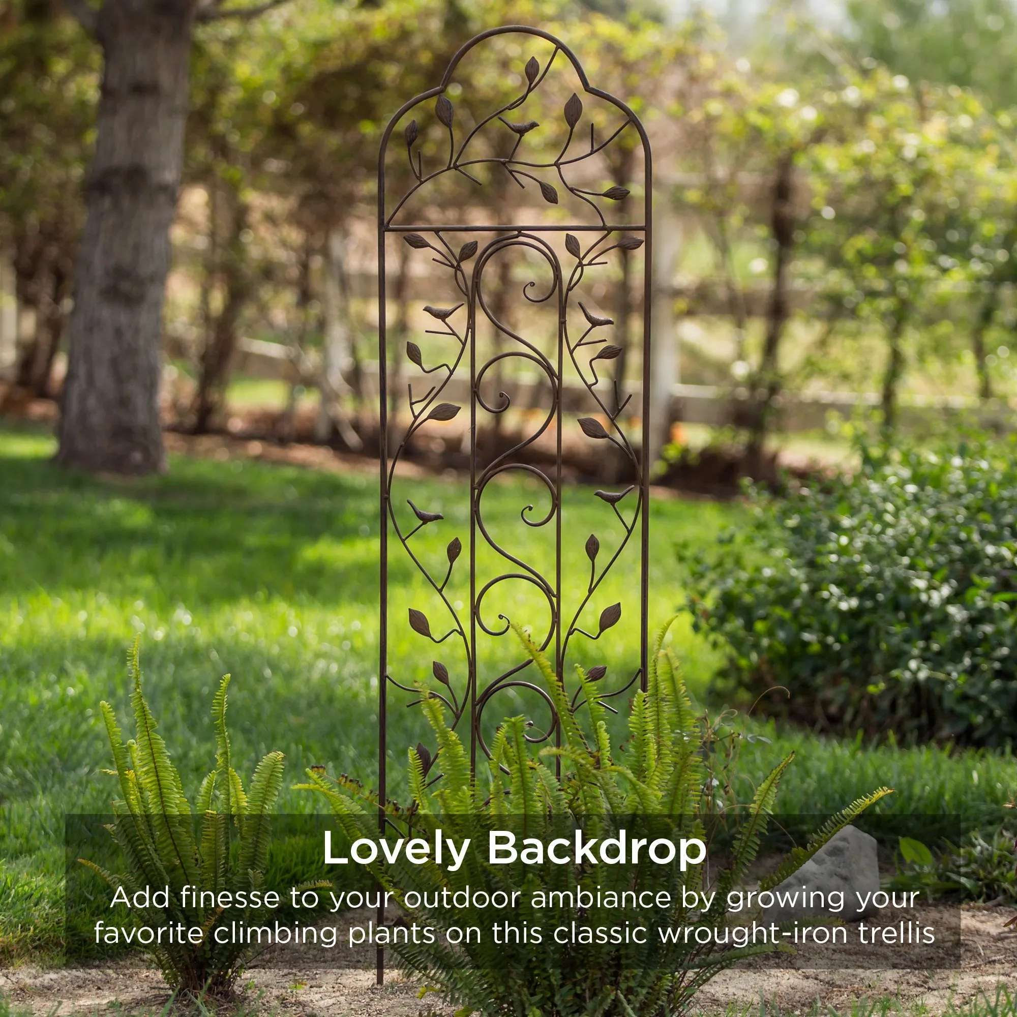 Set of Two Iron Arched Garden Trellis