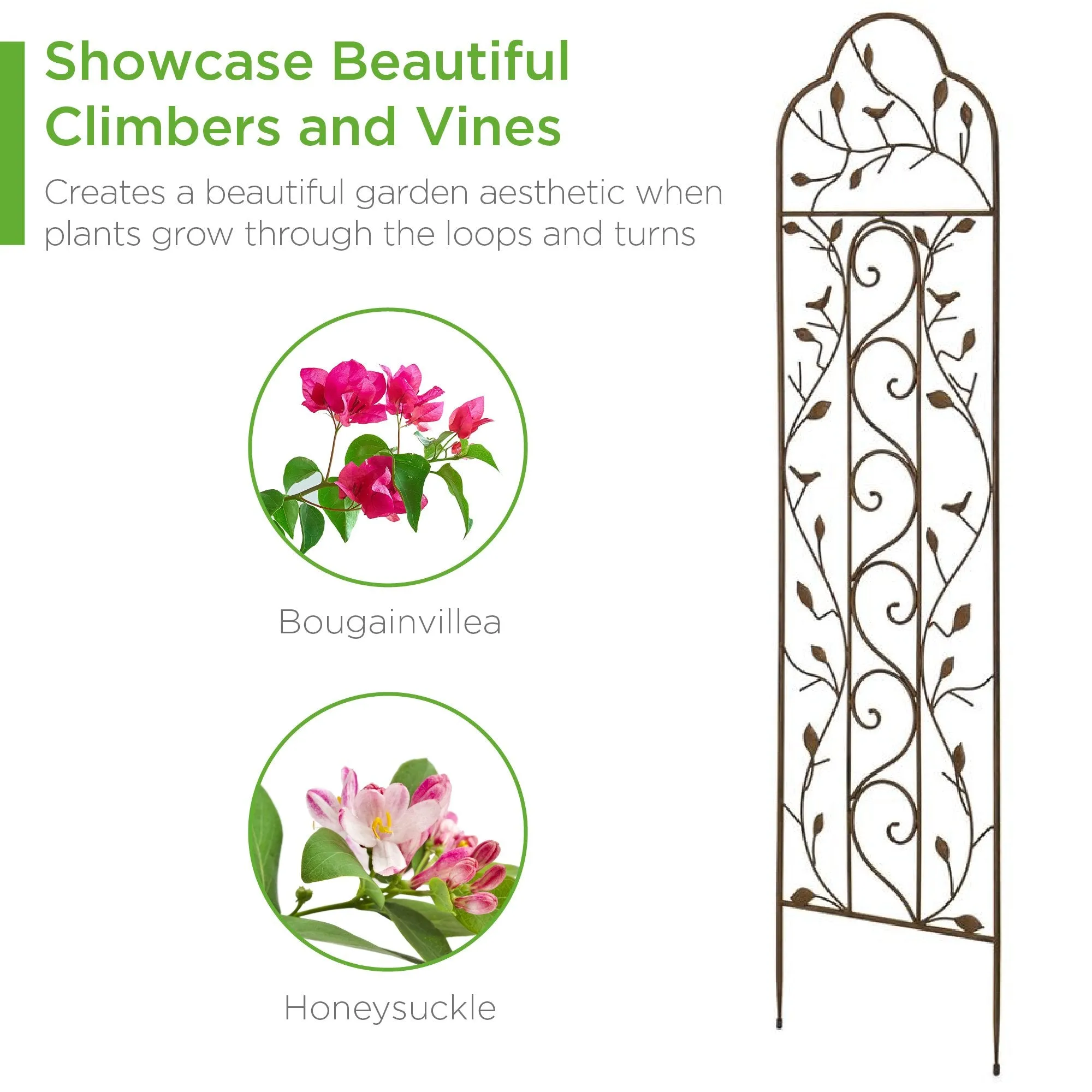 Set of Two Iron Arched Garden Trellis